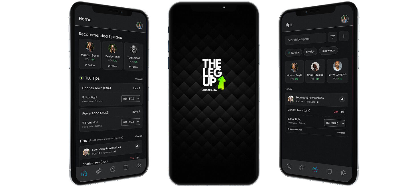 The Leg Up — project view 1